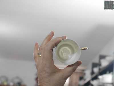 ...lo si pu� scoprire solo quando la tazzina viene messa in controluce: allora il fondo rivela un volto di donna dai tratti e dall�acconciatura esotica. �Pi� grande � il viso � ci avverte� pi� antica e preziosa � la tazza�